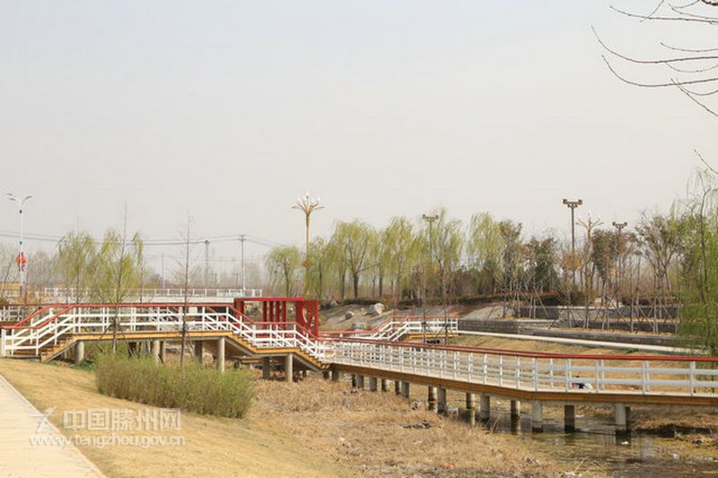高铁新区·东沙河镇：春光下的若水河畔