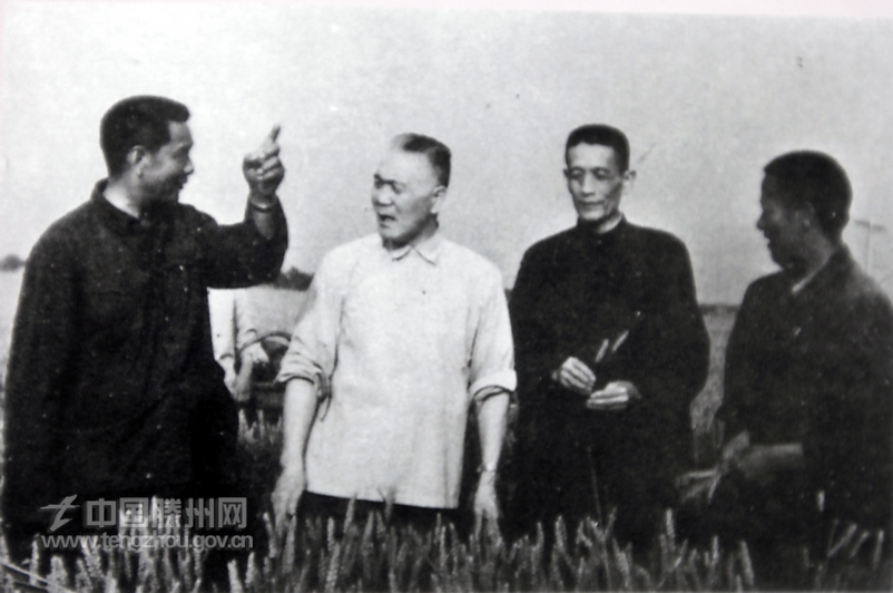 1970年5月省委书记白如冰视察董村农业生产