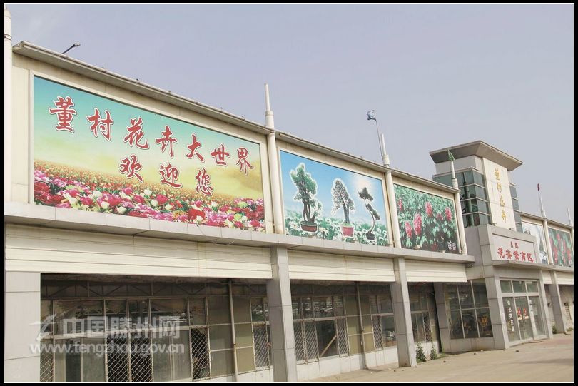 董村花卉大世界