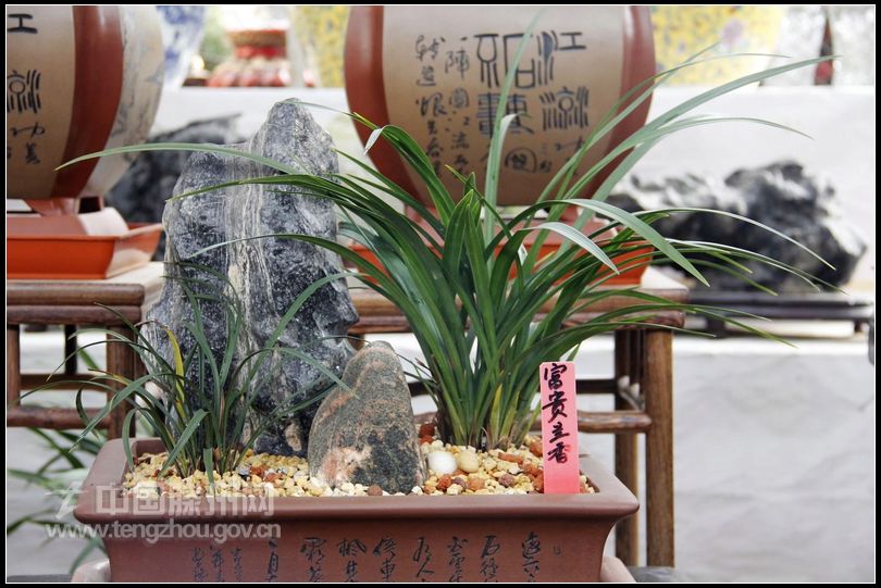 董村花卉大世界