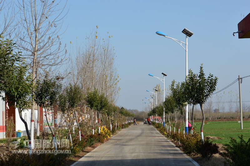 整洁的村庄道路