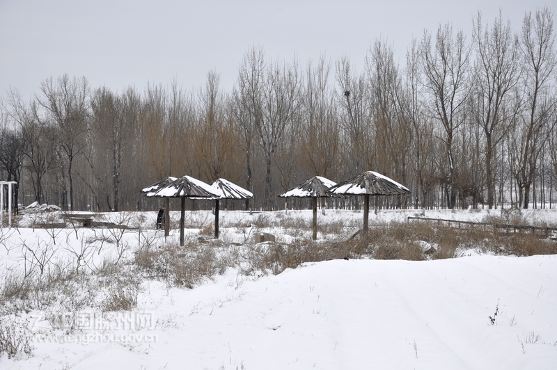 新瑞覆旧亭，飞雪代花艳