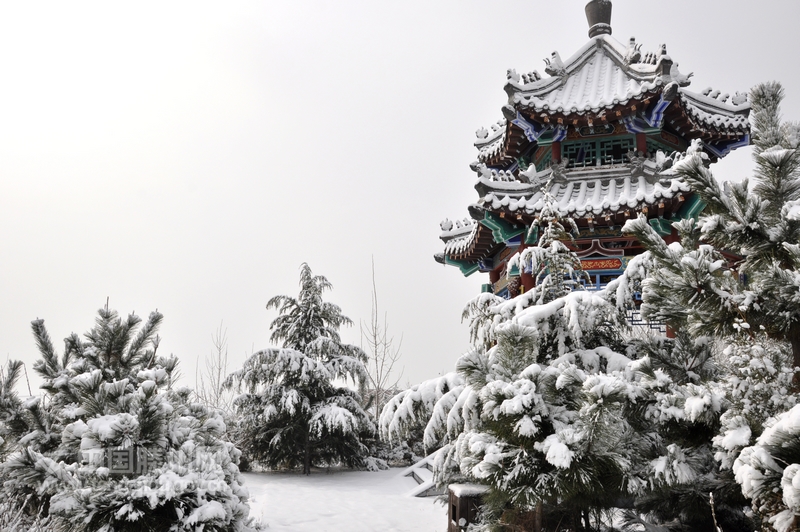 瑞雪压青枝，白霜覆红栏