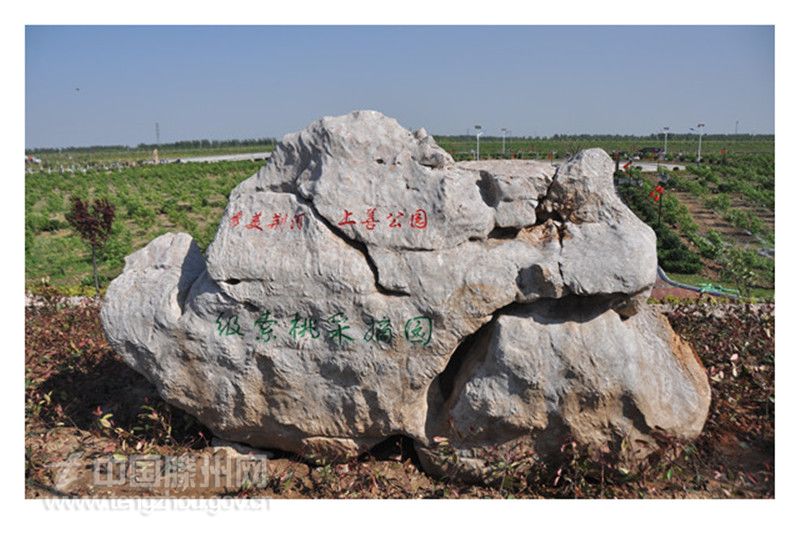 秀美荆河—级索桃采摘园