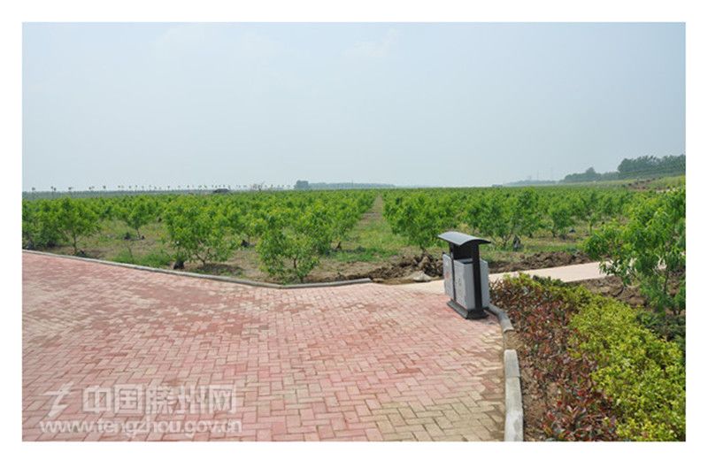 秀美荆河—万亩桃园一角