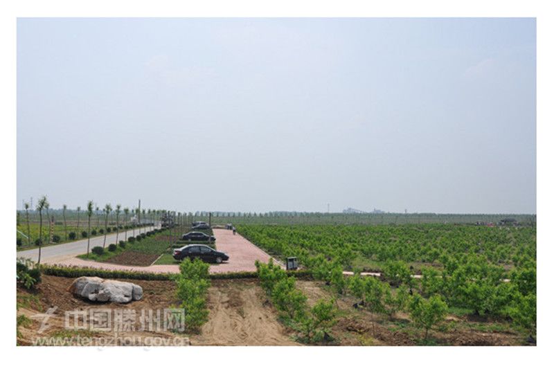 秀美荆河—级索桃采摘园停车场