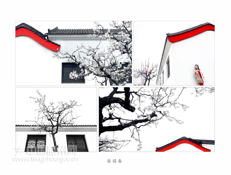 二等奖：梨园春