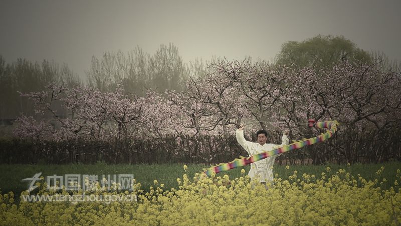 优秀奖：《龙腾盛景》