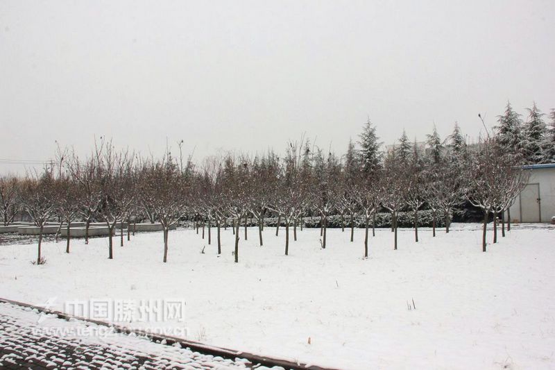 雪白的世界（冬季篇）