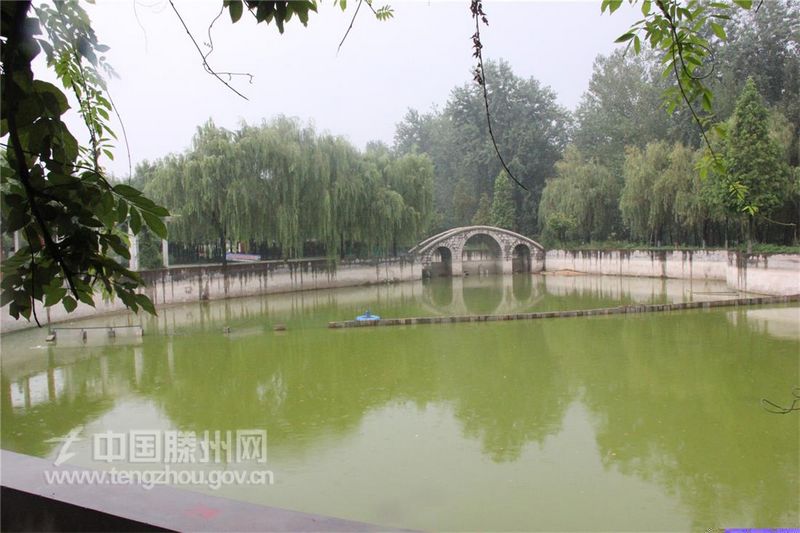 雨滴漫天飞舞（夏季篇）