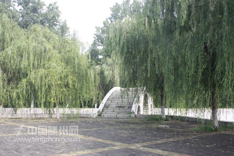 垂柳依依下的石桥（夏季篇）
