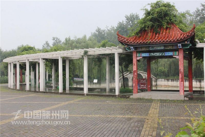 蔷薇缠绕（春季篇）
