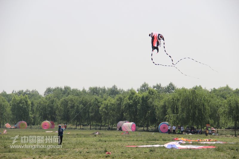 “触手”风筝腾空起