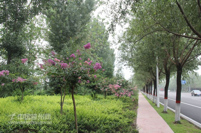 南沙河镇：实施绿化提升工程构建美丽宜居城镇