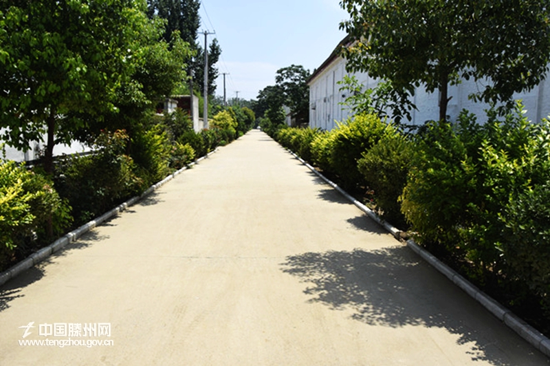 大坞镇高标准推进四好农村路建设