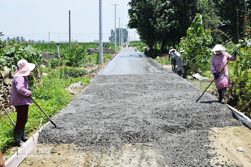 大坞镇高标准推进四好农村路建设