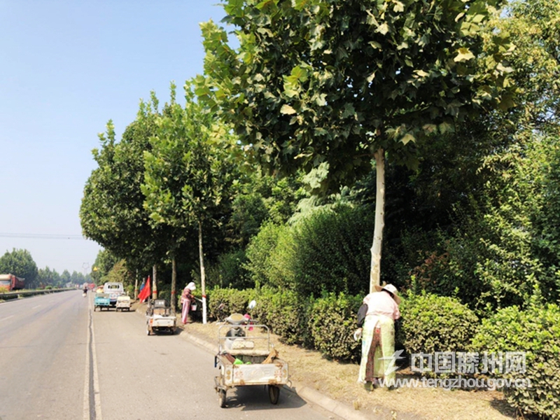 洪绪镇：人居环境整治常态化 点“靓”幸福洪绪