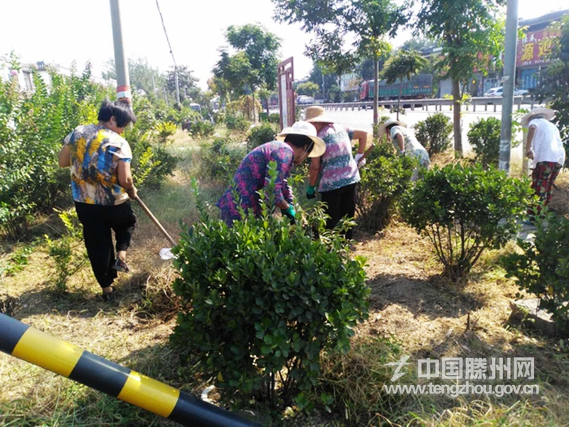 洪绪镇：人居环境整治常态化 点“靓”幸福洪绪