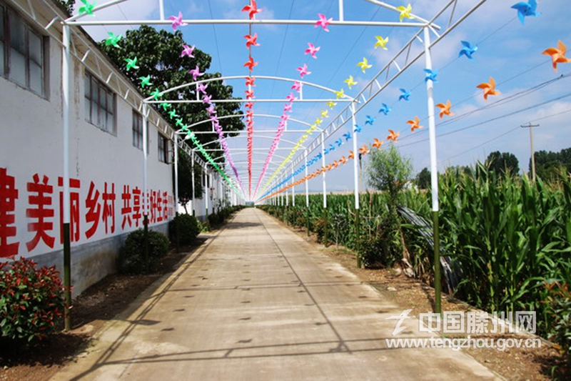 实行“四种模式” 统筹优势资源--界河镇因地制宜推进美丽宜居乡村建设