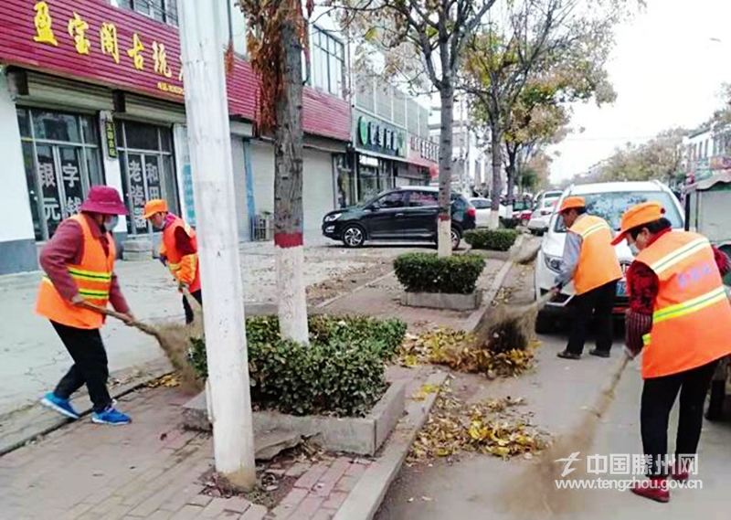 东郭镇：清理枯树杂草 美化路域环境