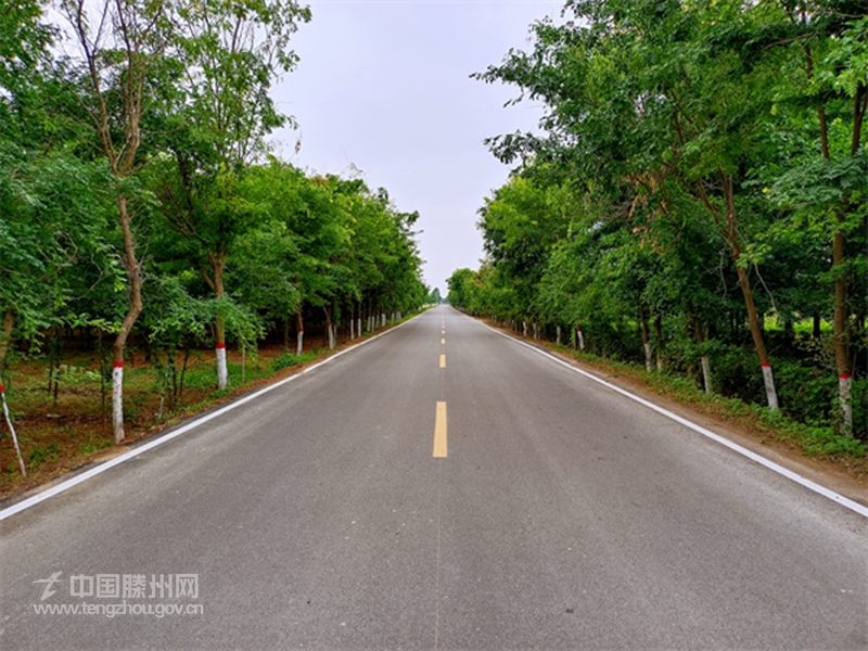 羊庄镇：道路建设绘就乡村振兴美丽画卷