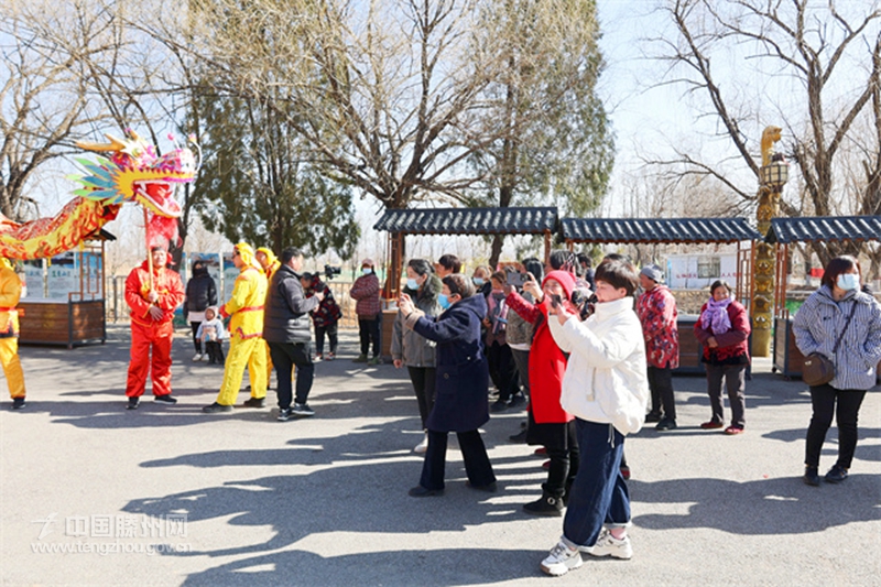 龙阳镇举办“昂龙首·舞丰年、二月二龙抬头” 民俗文化活动