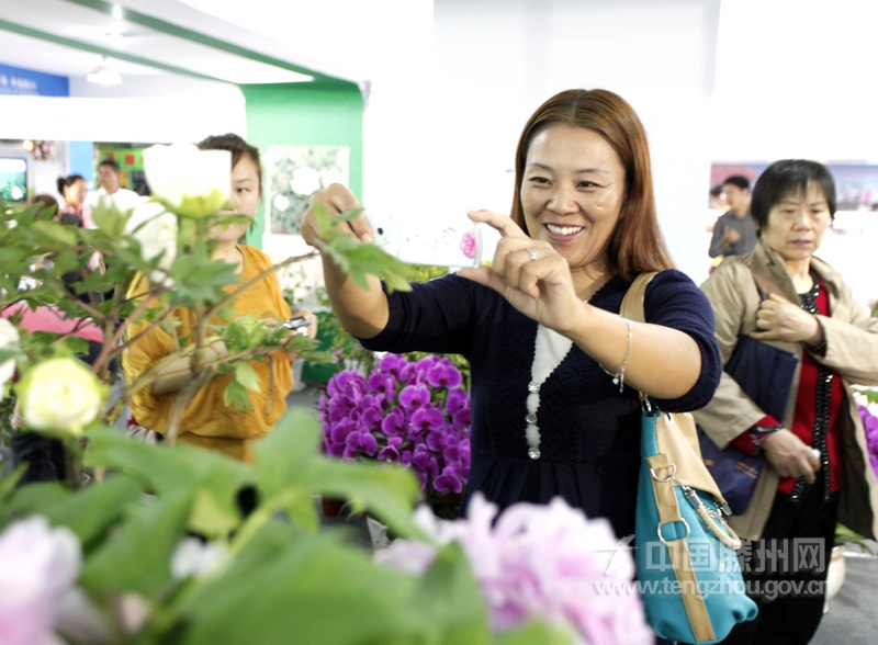 【新华社通稿图片】第五届山东省花卉博览会展览馆内，一位市民正在拍摄盛开的牡丹花