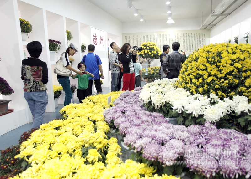 【新华社通稿图片】市民正在鲜花盛开的展览馆内赏花