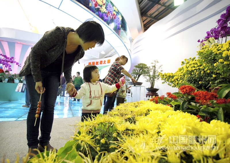 第五届山东省花卉博览会展览馆内，1位妈妈带着孩子正在赏花
