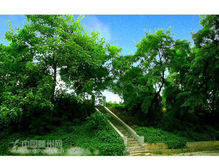 小龙山风光