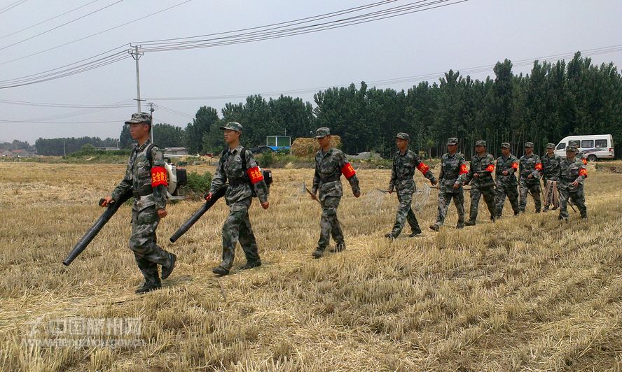 民兵参战三夏安全生产