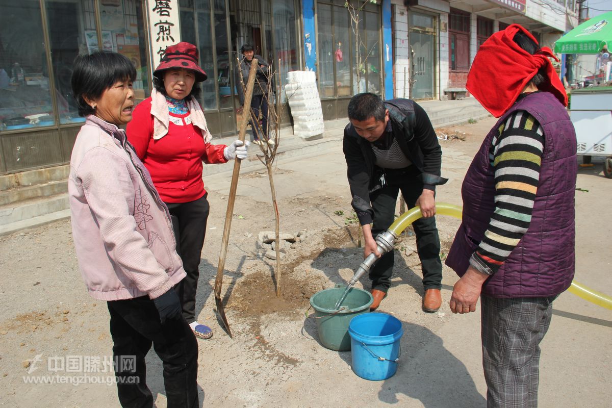 道路及两侧绿化养护