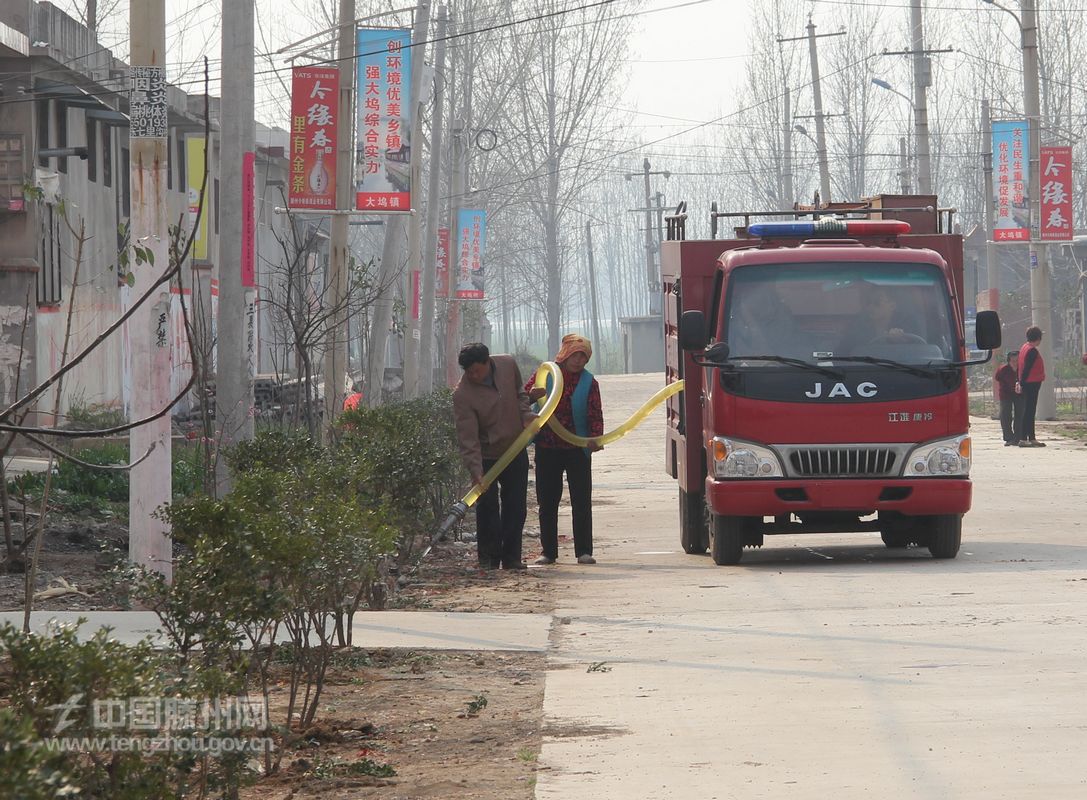 道路两侧绿化养护