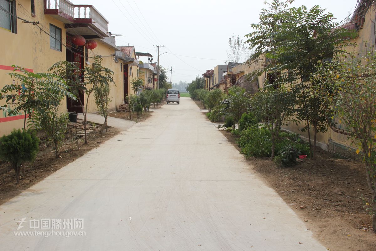 龙泉村村级道路硬化