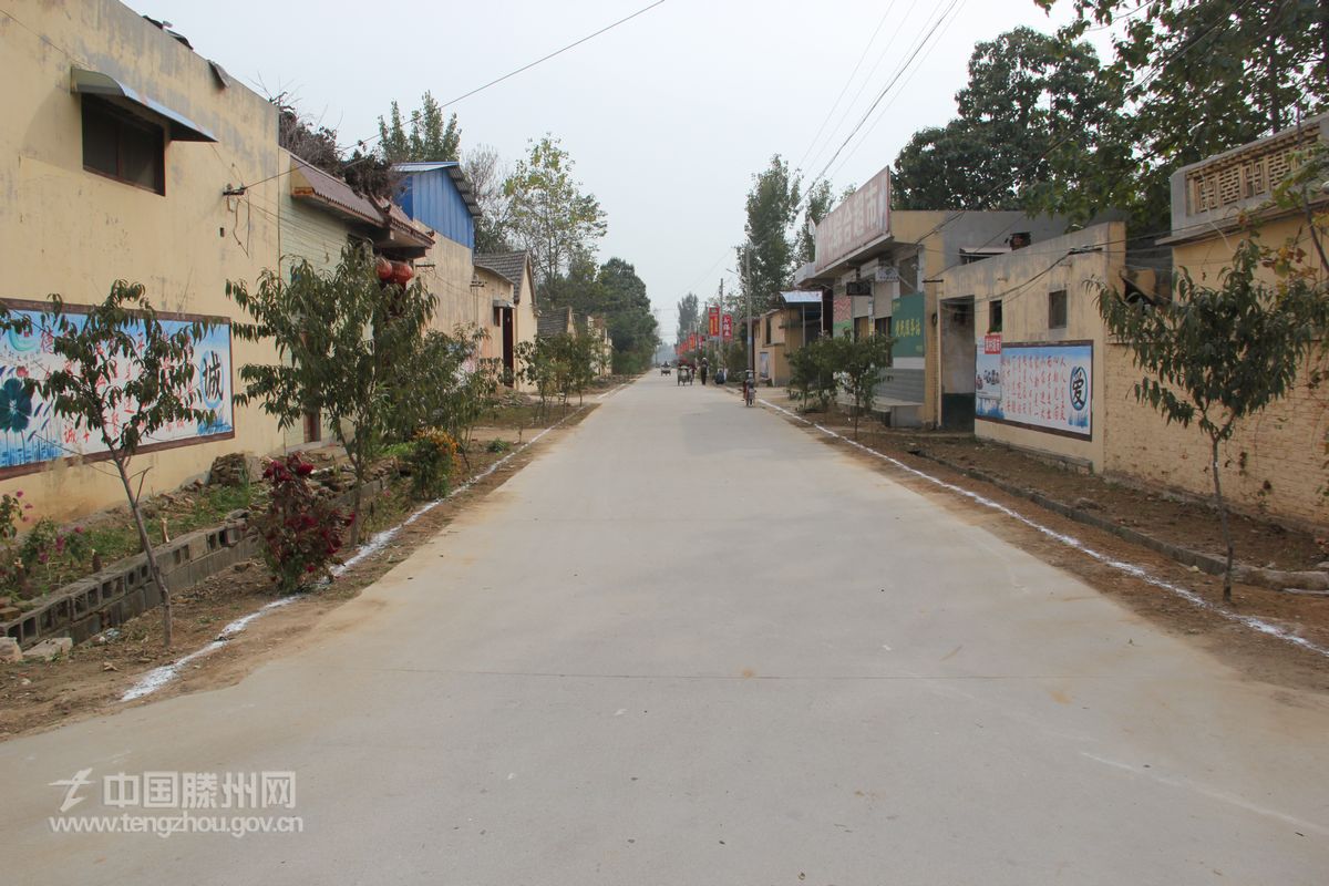 袁前村主干道道路硬化