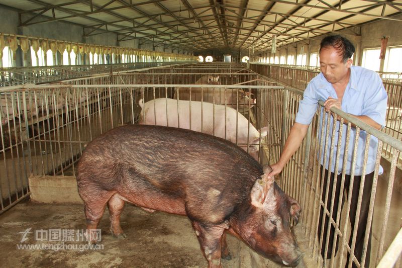 木石龙振生态园 ：一个实现脱贫梦想的“摇篮”