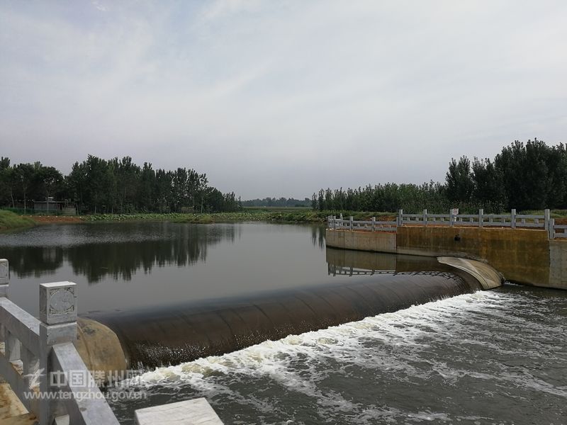 魏河人工湿地项目