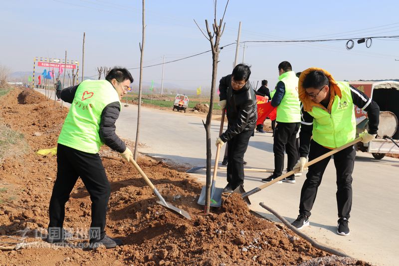 双管部门组织人员参与植树