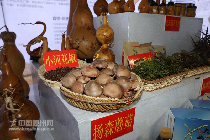官桥镇特色农产品惊艳亮相第十一届中国(滕州)马铃薯节