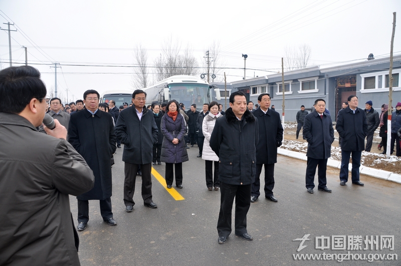 与会人员察看大坞镇凫山路建设项目